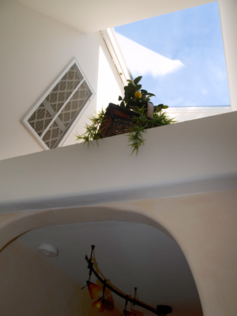 Silva Property | Carmel Valley